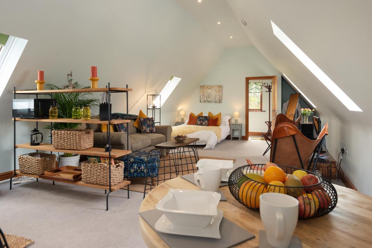 Stunning Studio,